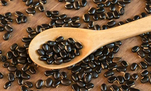 Ginkgo Biloba Extract hearing support ingredient